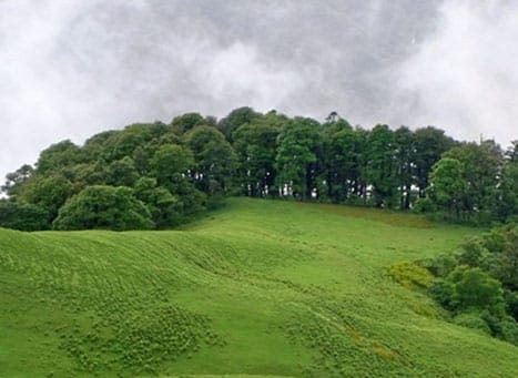 Dayara Bugyal Trek