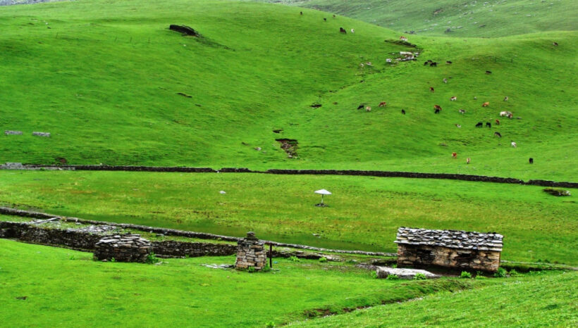 Dayara Bugyal Trek