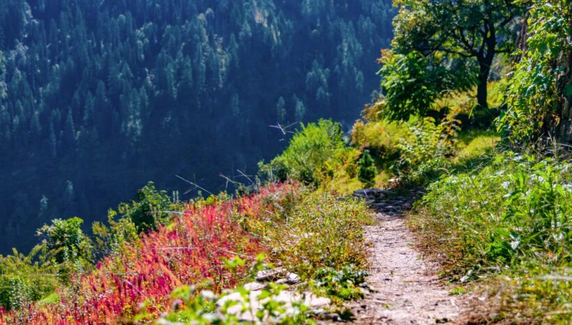 Ruoin Pass Trek